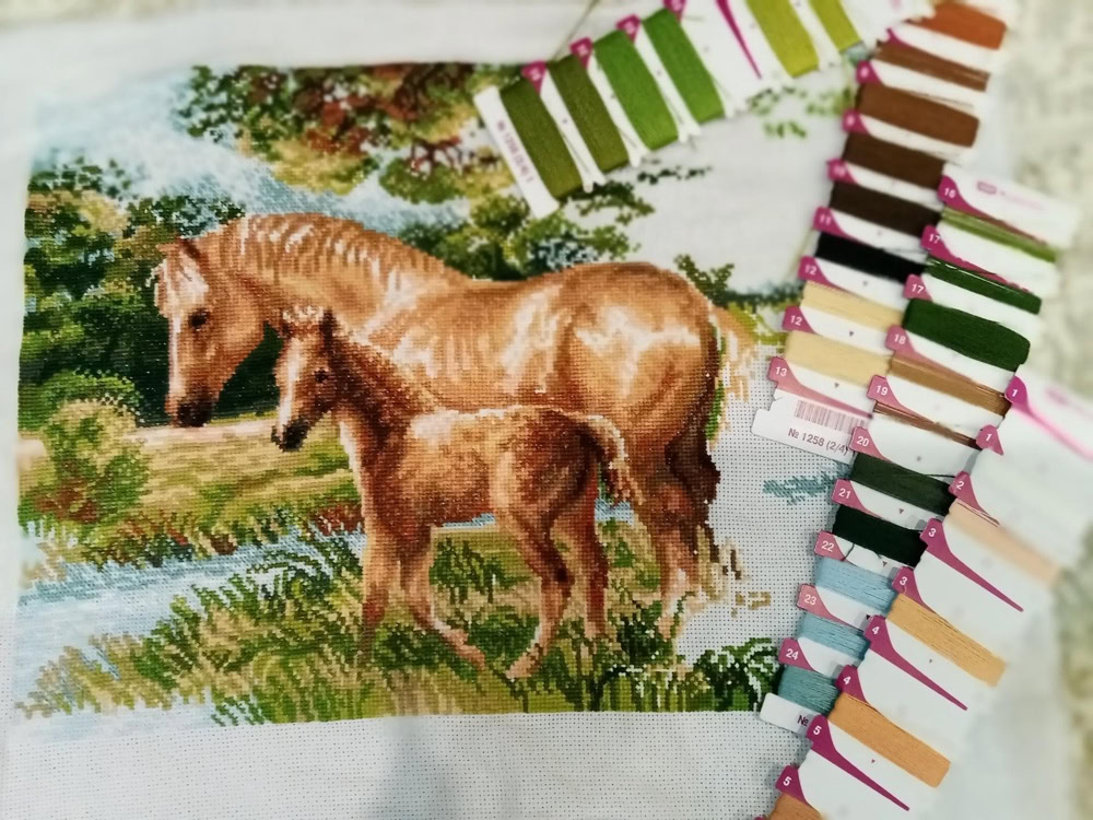 Вышивка Риолис 1258 «Лошадь с жеребёнком»